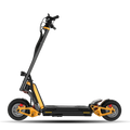 INMOTION RS Electric Performance Scooter – Premium High-Speed E-Scooter | TSH